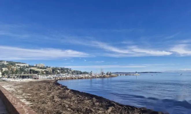 Недвижимость Apartment Pointe Croisette: 25