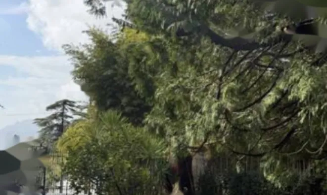 Недвижимость Apartment California: 15