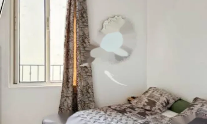 Недвижимость Maison Cannes République: 5