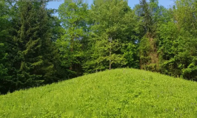 Недвижимость Участок Незаписной Новый Радовлица, Млака.: 2