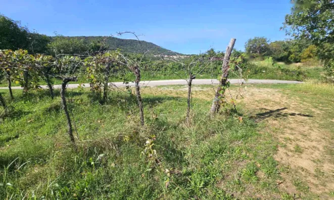 Недвижимость Дом Ванганел, Хлибан 1.: 7