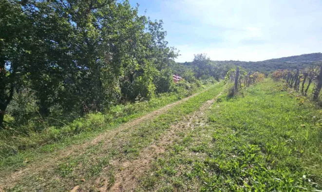 Недвижимость Дом Ванганел, Хлибан 1.: 9