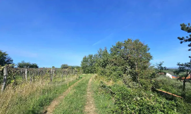 Недвижимость Дом Ванганел, Хлибан 1.: 11