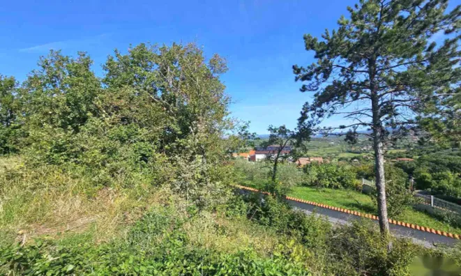 Недвижимость Дом Ванганел, Хлибан 1.: 12