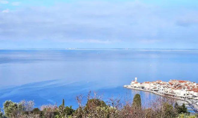 Недвижимость Дом в Пиране на Элитной улице: 1