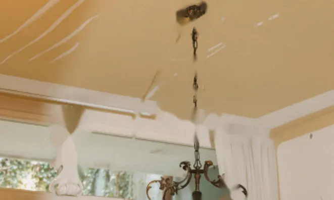 Недвижимость Четырехкомнатная квартира в центре Любляны: 22