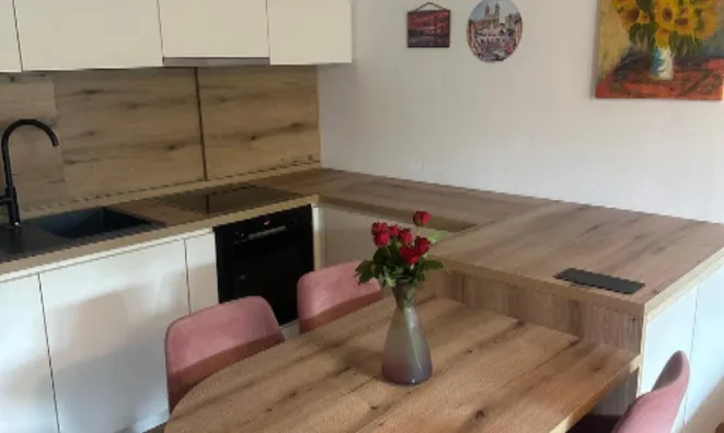 Недвижимость Трёхкомнатная квартира Шишка: 18