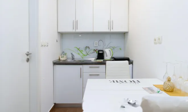 Недвижимость Квартира в центре Любляны: 5