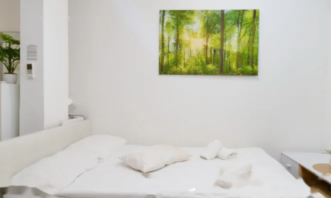 Недвижимость Квартира в центре Любляны: 9