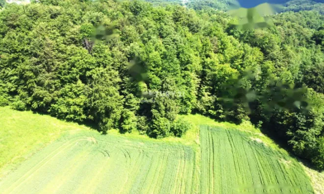 Недвижимость Усадьба Кметияново, Уйковицы, Шентюрт.: 23