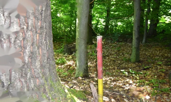 Недвижимость Усадьба Кметияново, Уйковицы, Шентюрт.: 24