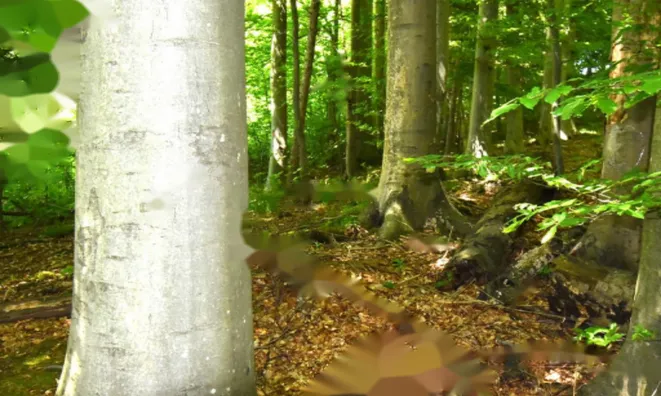 Недвижимость Усадьба Кметияново, Уйковицы, Шентюрт.: 26