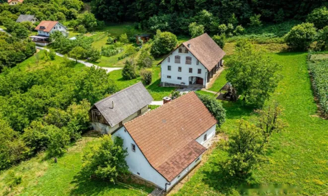 Недвижимость Поместье Кметияново Рифник, Шентюр у Целье.: 1