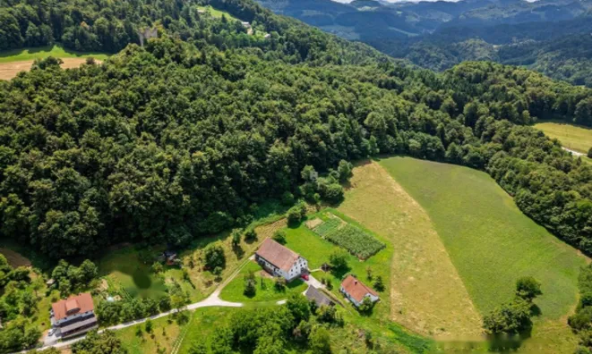 Недвижимость Поместье Кметияново Рифник, Шентюр у Целье.: 11