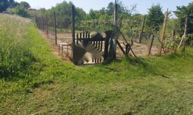 Недвижимость Усадьба Приусадебное хозяйство Моравци: 6