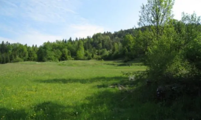 Недвижимость Владение, усадьба Беч: 1