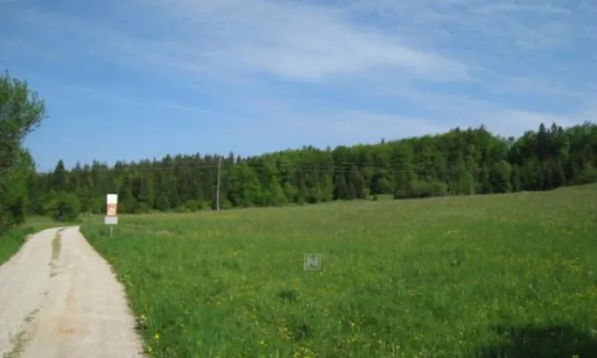 Недвижимость Владение, усадьба Беч: 4