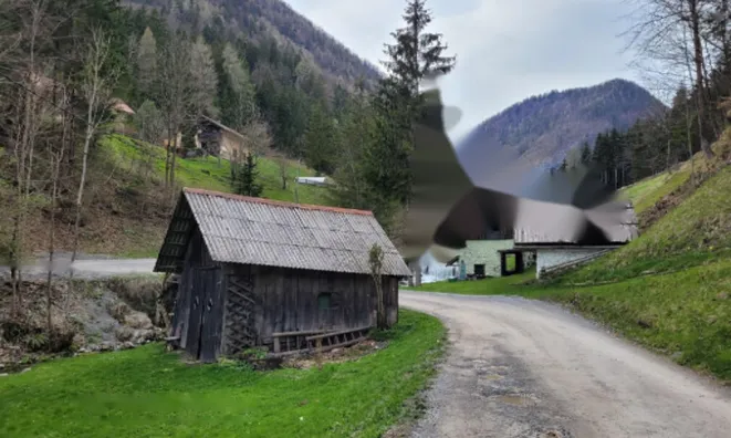 Недвижимость Поместье, ферма Белые Воды.: 6