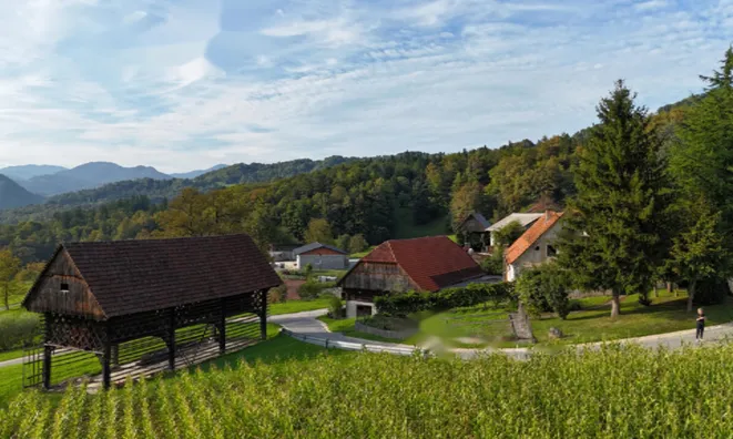 Недвижимость Усадьба Поместья Броштовница Похлин: 3