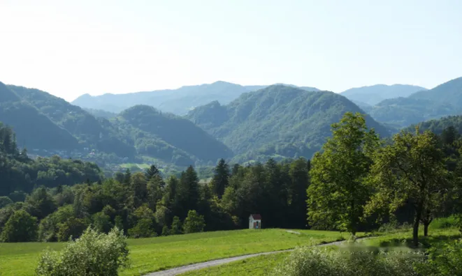 Недвижимость Усадьба Поместья Броштовница Похлин: 22