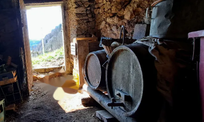 Недвижимость Поместье, ферма Чолнишче.: 14