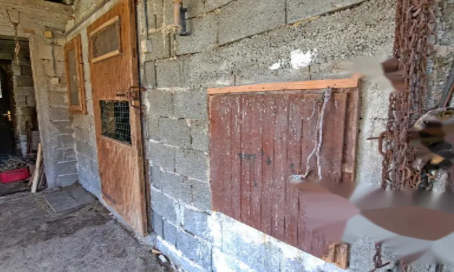 Недвижимость Поместье, ферма Чолнишче.: 18