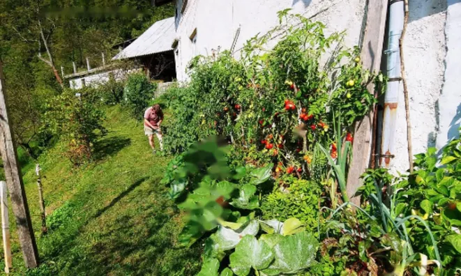 Недвижимость Поместье, ферма Чолнишче.: 22