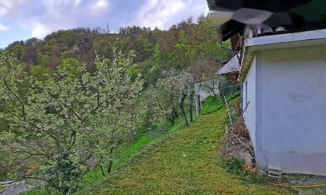 Недвижимость Поместье, ферма Чолнишче.: 24