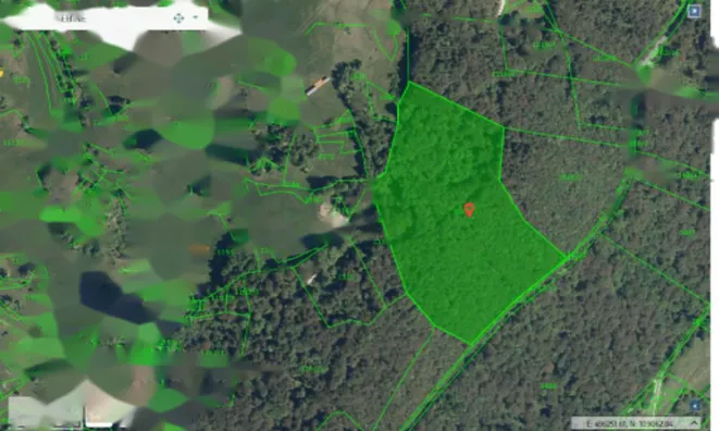 Недвижимость Поместье, ферма Чолнишче.: 28