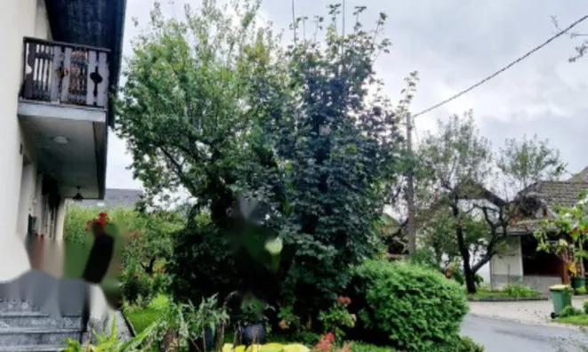 Недвижимость Усадьба, ферма Нижняя Долина: 7