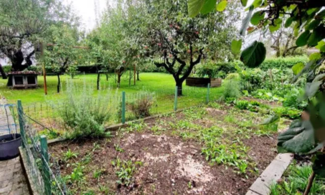 Недвижимость Усадьба, ферма Нижняя Долина: 13