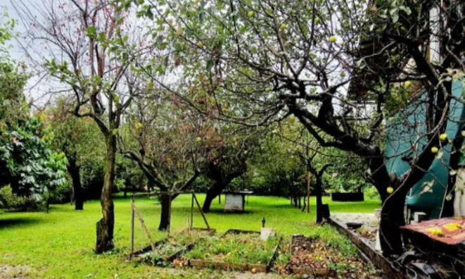 Недвижимость Усадьба, ферма Нижняя Долина: 18