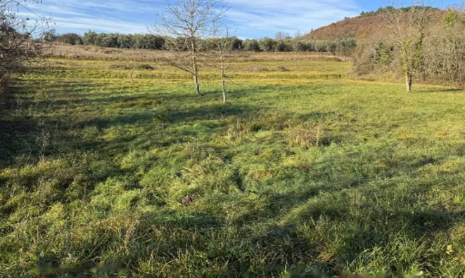 Недвижимость Поместье, ферма Драгойня.: 2