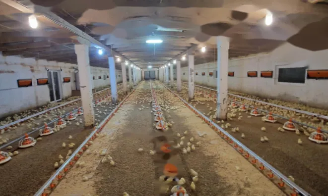 Недвижимость Усадьба и ферма у Словенской Бистрицы: 2