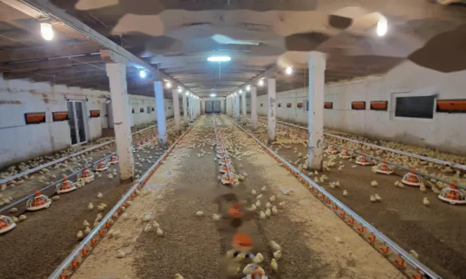 Недвижимость Поместье, ферма Фаровец, рядом со Словенской Бистрицей: 2