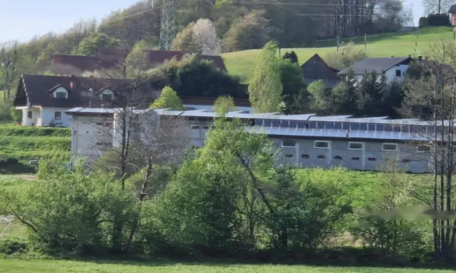 Недвижимость Поместье, ферма Фаровец, рядом со Словенской Бистрицей: 4