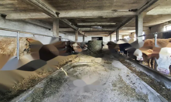 Недвижимость Усадьба, ферма Габрник: 8