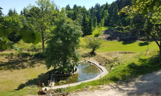 Недвижимость Имение, ферма Горе.: 10