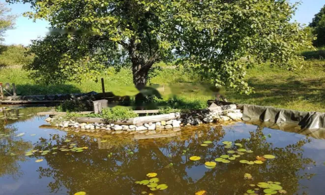 Недвижимость Имение, ферма Горе.: 11