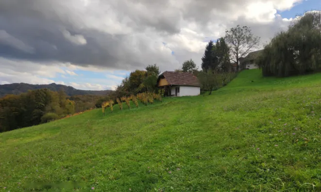 Недвижимость Усадьба, ферма Каменце.: 7