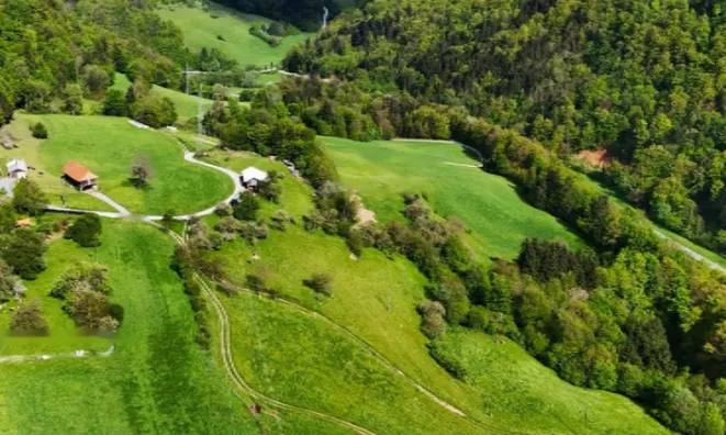 Недвижимость Усадьба Камник, выезд с автострады Трояне или Вранско.: 1