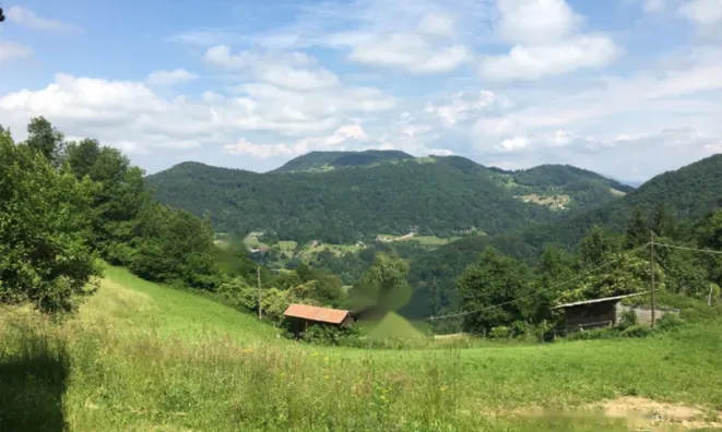 Недвижимость Усадьба, ферма Коншица - часть.: 1