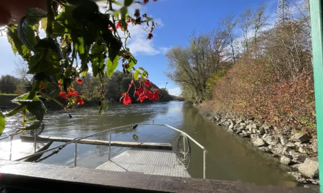 Недвижимость Дом, Чершак: 10