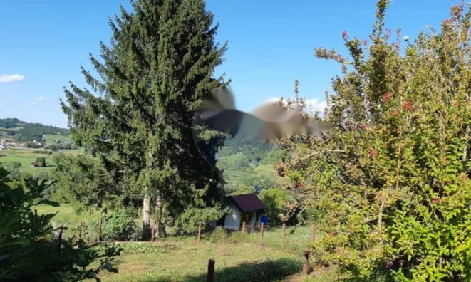 Недвижимость Дом, Куншперк: 9