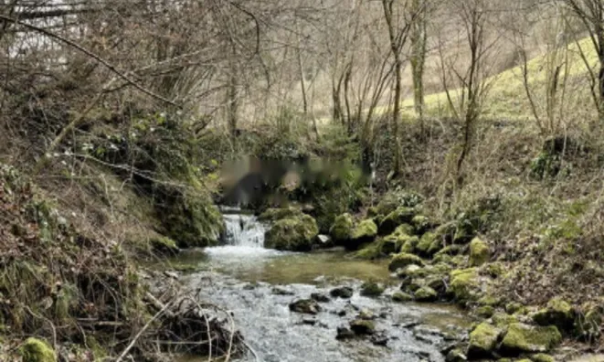 Недвижимость Дом, Лока при Жусму: 17