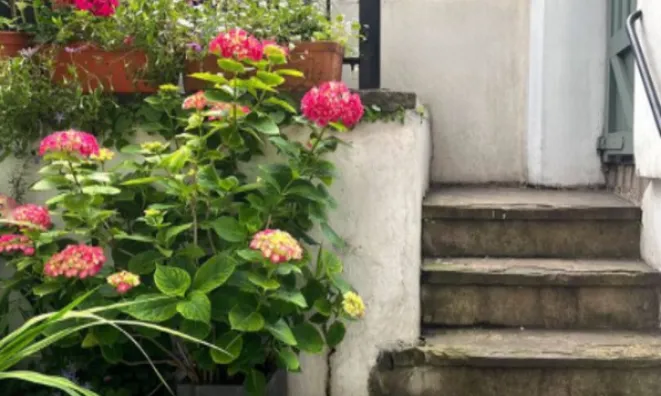 Недвижимость Finborough Road, Chelsea: 3