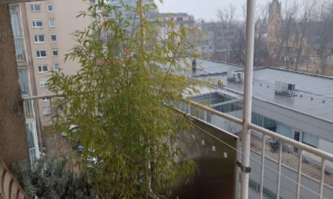 Недвижимость 2-комнатная квартира, Бежиград: 13