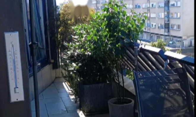 Недвижимость Квартира, 2 комнаты, Центр: 9