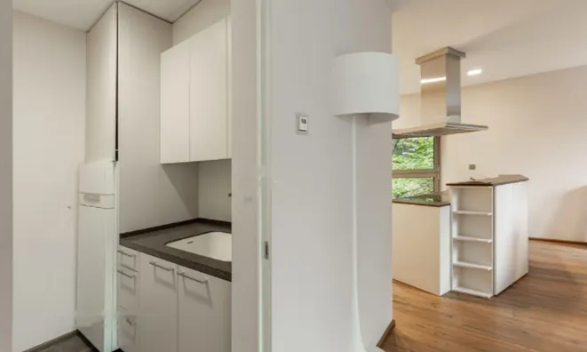 Недвижимость Квартира, 4 комнаты, Любляна центр: 12