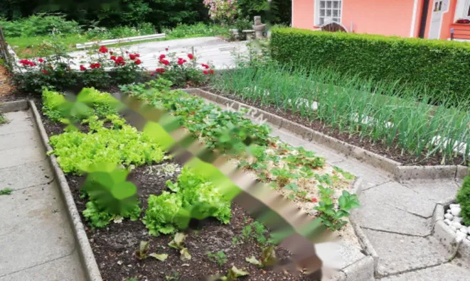 Недвижимость Дом, Состро: 11